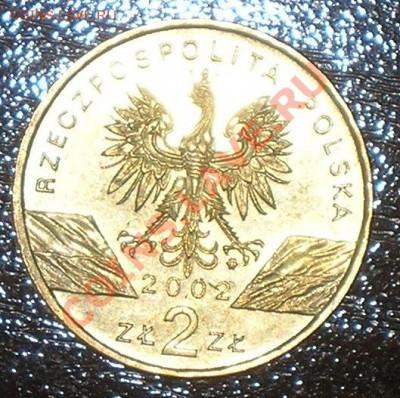 Польша, 7 монет по 2 злотых, 2002 - 2004 гг. - DSCN5206.JPG