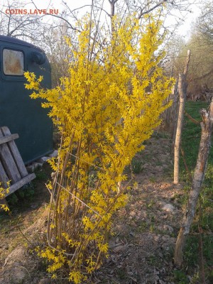 перекличка городов по температуре - 2019-04-27 19.08.45