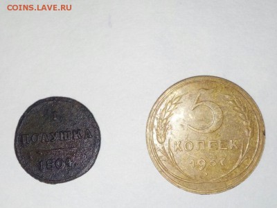 Кузбасский коп - image (1)