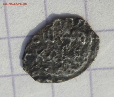 серебряная чешуйка атрибуция - P4280077.JPG