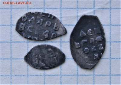 Василий 3 чешуя.30.04.22-00 - DSC00547.JPG