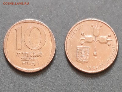 10 новых агрот Израиль - kRXD7S7NvI8