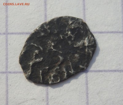 серебряная чешуйка Фёдор Алексеевич, КГ1480 02.05.2019 22-00 - P4280080.JPG