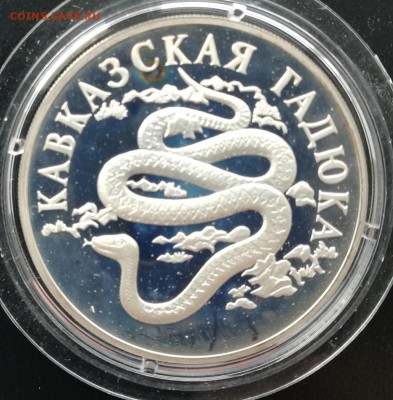 Кавказская гадюка 1 рубль 1999 год старт 200₽ до 7.5.19 в 16 - IMG_20190430_170023