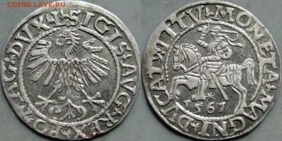 Литовский полугрош Жыгимонта Августа, 1565 год - Полугрош1561