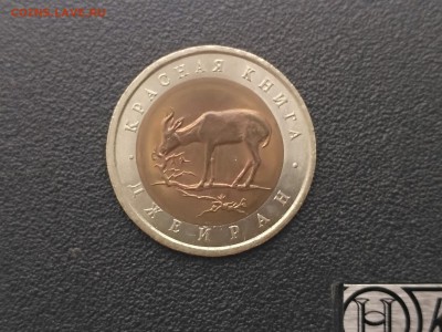 РОССИЯ,50 рублей 1994г(КК,Джейран)до 3.05.2019 - IMG_20190430_171420