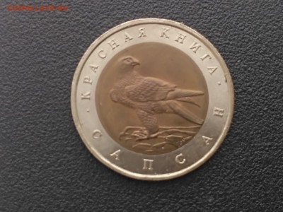 РОССИЯ,50 рублей 1994г(КК,Сапсан)до 3.05.2019 - IMG_20190430_172042