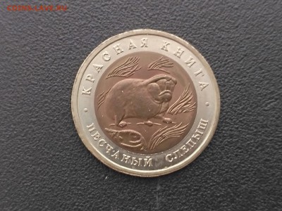 РОССИЯ,50 рублей 1994г(КК,Песчаный слепыш)до 3.05.2019 - IMG_20190430_172221
