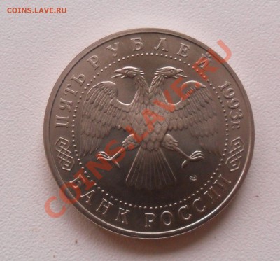5 р. Лавра АЦ, 1993г. до 29.06. 21-00 - SAM_1349.JPG