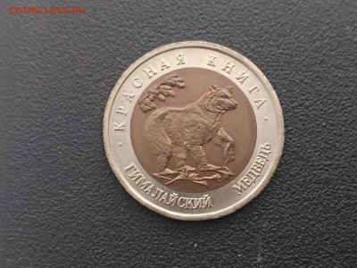 РОССИЯ,50 рублей 1993г(КК,Гималайский медведь)до 3.05.2019 - IMG_20190430_172328