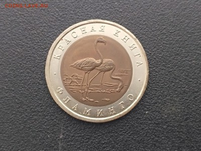 РОССИЯ,50 рублей 1994г(КК,Фламинго)до 3.05.2019 - IMG_20190430_172348