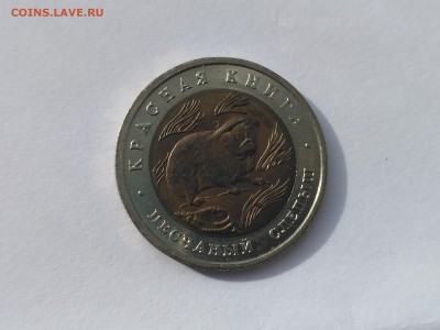 РОССИЯ,50 рублей 1994г(КК,Песчаный слепыш)до 3.05.2019 - IMG_20190502_080704