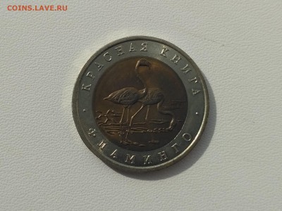РОССИЯ,50 рублей 1994г(КК,Фламинго)до 3.05.2019 - IMG_20190502_084507