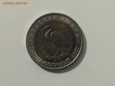 РОССИЯ,50 рублей 1993г(КК,Дальневосточный аист)до 3.05.2019 - IMG_20190502_084405