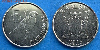 Замбия - 5 нгве 2015 года до 7.05 - Замбия 5 нгве 2015
