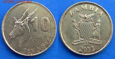 Замбия - 10 нгве 2012 года (Фауна) до 7.05 - Замбия 10 нгве 2012