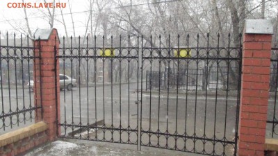 делает - прямо сейчас !!! - IMG_3648.JPG