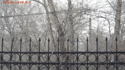 делает - прямо сейчас !!! - IMG_3651.JPG