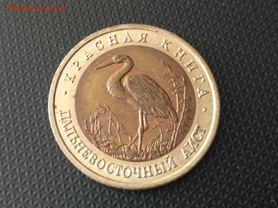 РОССИЯ,50 рублей 1993г(КК,Дальневосточный аист)до 3.05.2019 - IMG_20190503_093755