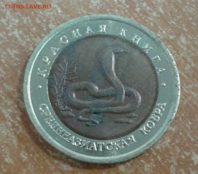 КК Кобра до 4.05.19 в 22.00 по МСК - 20190503_115733