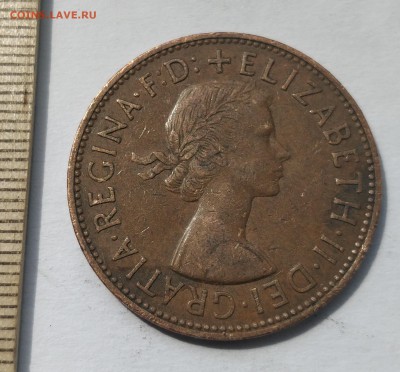 Старая Англия: Елизавета II 1 пенни 1961 до 5.05.19 - IMG_20190503_131027