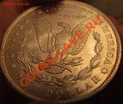 США.Доллары 1879 и 1885г.СохранXF(кажется).До 28-06-11 22-00 - аверс д1