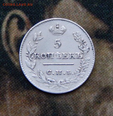 5 копеек 1826 г. СПБ НГ. Николай I. Орел с опущенными крылья - DSCN3891.JPG