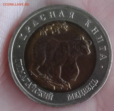 КК Медведь до 4.05.19 в 22.00 по МСК - 20190504_105958