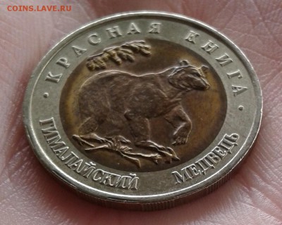КК Медведь до 4.05.19 в 22.00 по МСК - 20190504_110005