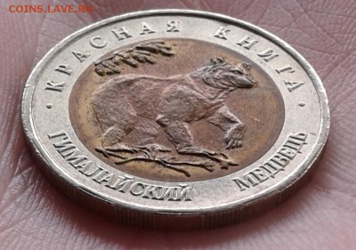 КК Медведь до 4.05.19 в 22.00 по МСК - 20190504_110013