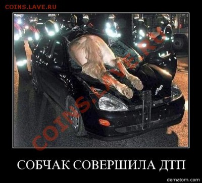 Вот бы у нас так... - 68837-sobchak_sovershila_dtp