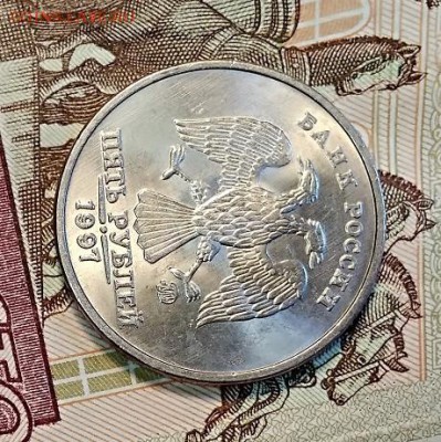 5 р 1997 ММД МЕШК.ШТ.БЛЕСК.  11.05.2019 в 22:00 - 006