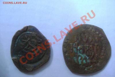 помогите определить что это за чешуйки - DSC00748[1]