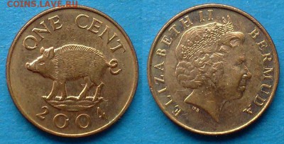 Бермуды - 1 цент 2004 года до 13.05 - Бермуды 1 цент 2004