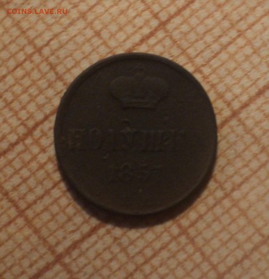 Полушка 1857 года. до 13.05.19 в 22.00 по Мск. - DSC08723.JPG