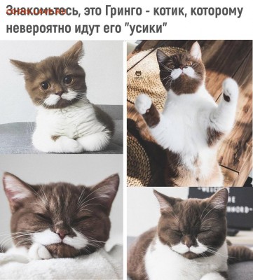 юмор - VS3F39lJnqw