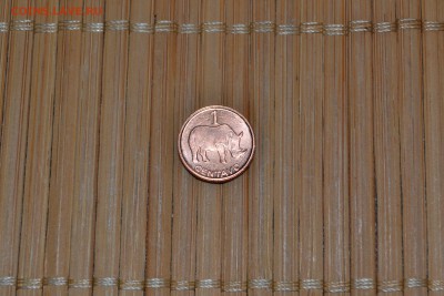 Мозамбик - 1 сентаво 2006 года до 16.05 - DSC_0714_1