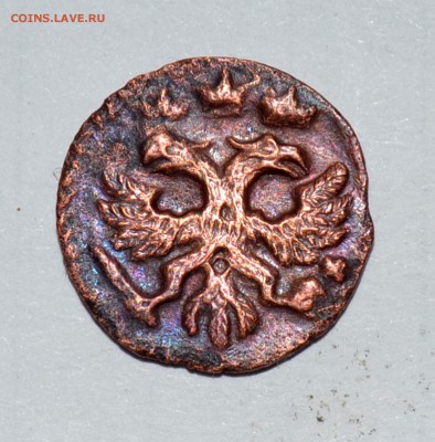 Полушка 1720 ВРП цифра 2 перевернута - Полушка 1720