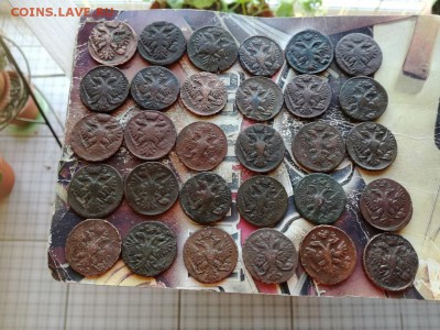 30 денег 1731-51, в приличном сохране до 15.05.2019 - 30денег (2) - копия