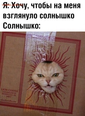 юмор - CZ-nfS3SGXI