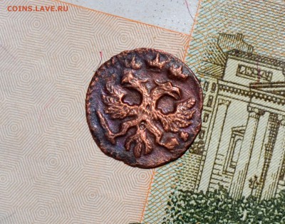 Полушка 1720 ВРП цифра 2 перевернута - Полушка 1720 3