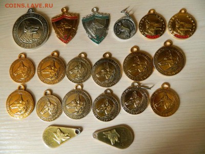 Кинологические жетоны до 15.05.19 - DSCN0710_thumb