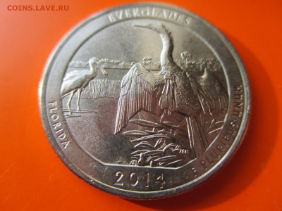 США 25 центов квотер 2014 юб., оборотный до 18.05.19 22:00 - IMG_1725.JPG
