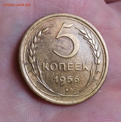 5 Копеек 1956 - 20190514_155737