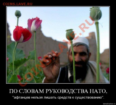 Про Ливию - 157135_281797