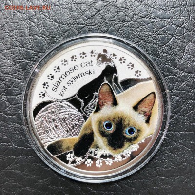 НИУЭ - 1 ДОЛЛАР - СИАМСКИЙ КОТ - 2014 - 20.05.19 - IMG_1164 (Копировать).JPG