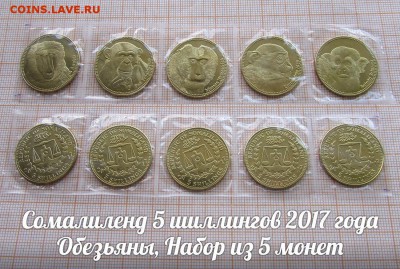Сомалиленд 5 шиллингов 2017 Обезьяны(5шт). До 20.05. в 22:00 - 1