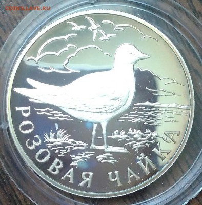 Рубль 1999 розовая чайка Ag900 15.55гр. До 17.05. - IMG_20190516_082041