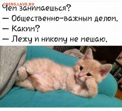 юмор - i