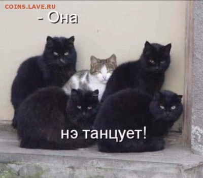 юмор - i (3)